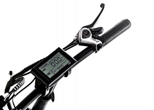 BICICLETTA ELETTRICA FAT-BIKE VITALE 250W BATTERIA LITIO – gooItaly.it