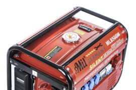 220 V 2500 W 4 TEMPI BENZINA CON AVR